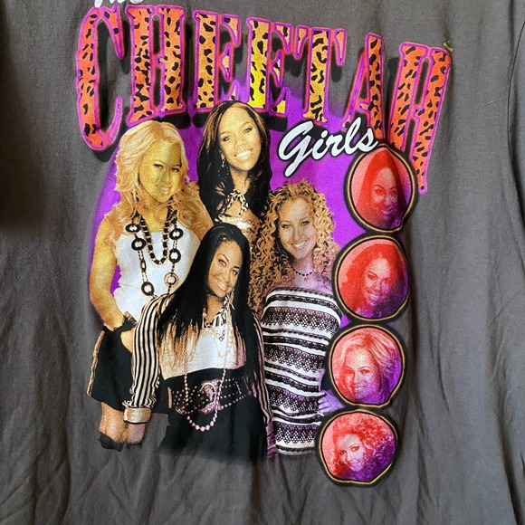 The Cheetah Girls Graphic T Shirt Women's Size L Gray Short Sleeve Cotton Top - Picture 2 of 5